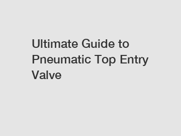 Ultimate Guide to Pneumatic Top Entry Valve