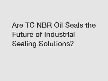 Are TC NBR Oil Seals the Future of Industrial Sealing Solutions?