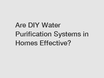 Are DIY Water Purification Systems in Homes Effective?