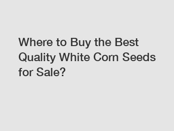 Where to Buy the Best Quality White Corn Seeds for Sale?