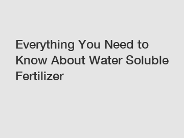 Everything You Need to Know About Water Soluble Fertilizer