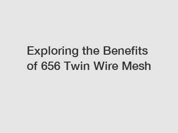 Exploring the Benefits of 656 Twin Wire Mesh