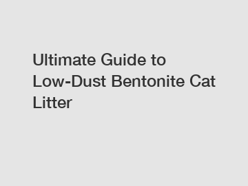 Ultimate Guide to Low-Dust Bentonite Cat Litter