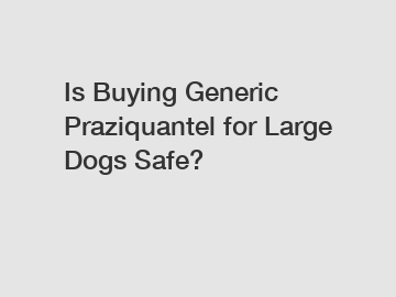 Is Buying Generic Praziquantel for Large Dogs Safe?