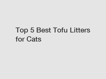 Top 5 Best Tofu Litters for Cats