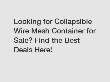 Looking for Collapsible Wire Mesh Container for Sale? Find the Best Deals Here!