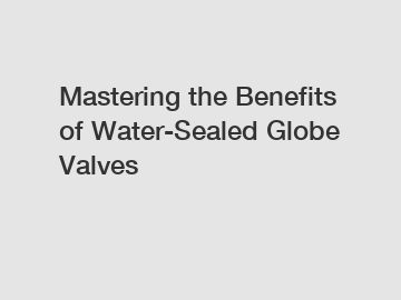 Mastering the Benefits of Water-Sealed Globe Valves