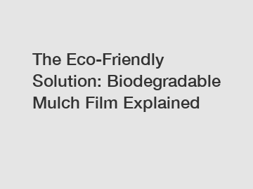 The Eco-Friendly Solution: Biodegradable Mulch Film Explained