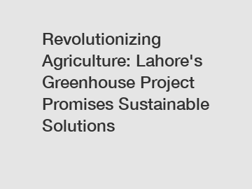 Revolutionizing Agriculture: Lahore's Greenhouse Project Promises Sustainable Solutions