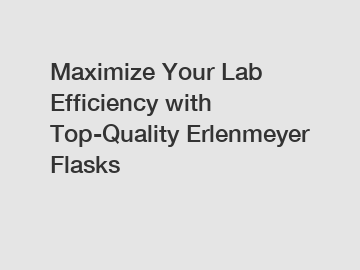 Maximize Your Lab Efficiency with Top-Quality Erlenmeyer Flasks