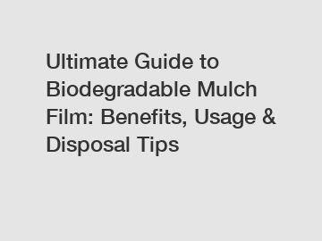 Ultimate Guide to Biodegradable Mulch Film: Benefits, Usage & Disposal Tips