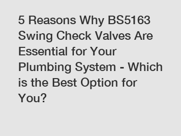 5 Reasons Why BS5163 Swing Check Valves Are Essential for Your Plumbing System - Which is the Best Option for You?