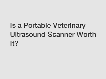 Is a Portable Veterinary Ultrasound Scanner Worth It?