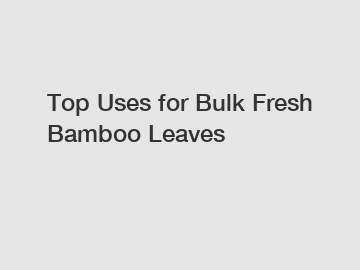 Top Uses for Bulk Fresh Bamboo Leaves