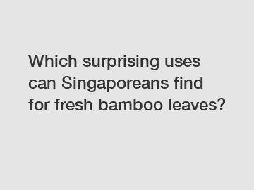 Which surprising uses can Singaporeans find for fresh bamboo leaves?