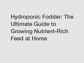 Hydroponic Fodder: The Ultimate Guide to Growing Nutrient-Rich Feed at Home