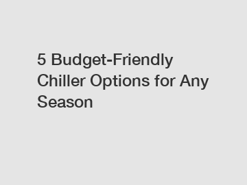 5 Budget-Friendly Chiller Options for Any Season