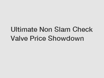 Ultimate Non Slam Check Valve Price Showdown
