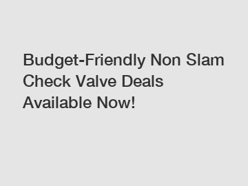Budget-Friendly Non Slam Check Valve Deals Available Now!