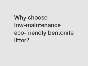 Why choose low-maintenance eco-friendly bentonite litter?