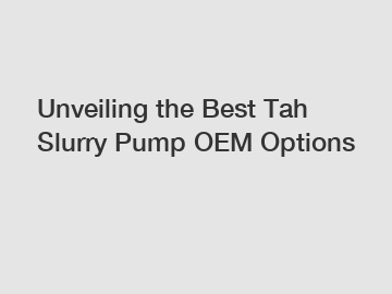 Unveiling the Best Tah Slurry Pump OEM Options