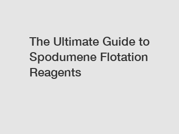 The Ultimate Guide to Spodumene Flotation Reagents
