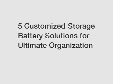 5 Customized Storage Battery Solutions for Ultimate Organization