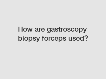 How are gastroscopy biopsy forceps used? How are gastroscopy biopsy forceps used?