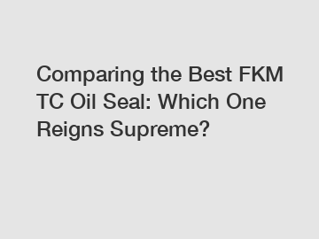 Comparing the Best FKM TC Oil Seal: Which One Reigns Supreme?