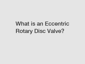 What is an Eccentric Rotary Disc Valve?