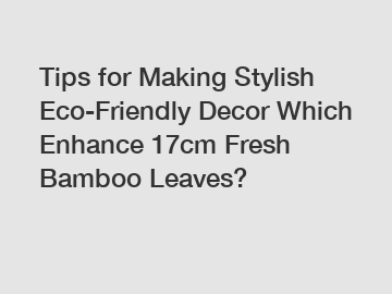 Tips for Making Stylish Eco-Friendly Decor Which Enhance 17cm Fresh Bamboo Leaves?