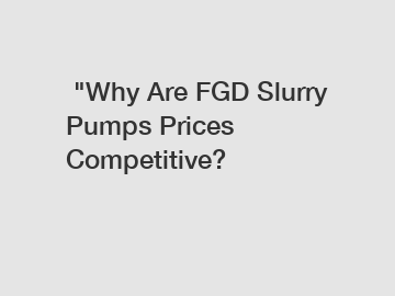  "Why Are FGD Slurry Pumps Prices Competitive?