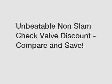 Unbeatable Non Slam Check Valve Discount - Compare and Save!