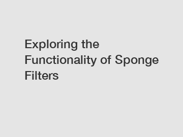 Exploring the Functionality of Sponge Filters