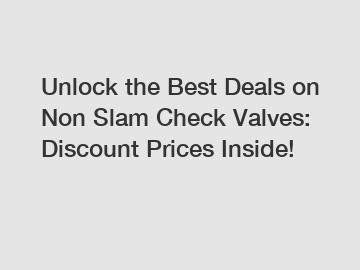 Unlock the Best Deals on Non Slam Check Valves: Discount Prices Inside!