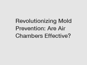 Revolutionizing Mold Prevention: Are Air Chambers Effective?