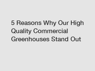 5 Reasons Why Our High Quality Commercial Greenhouses Stand Out