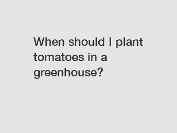 When should I plant tomatoes in a greenhouse?