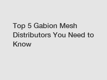 Top 5 Gabion Mesh Distributors You Need to Know