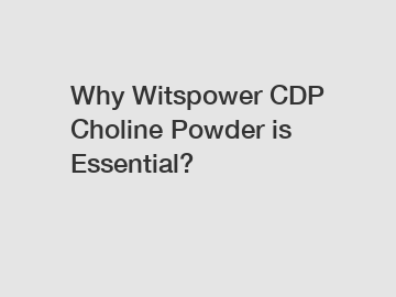 Why Witspower CDP Choline Powder is Essential?