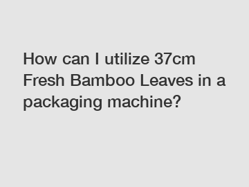 How can I utilize 37cm Fresh Bamboo Leaves in a packaging machine?