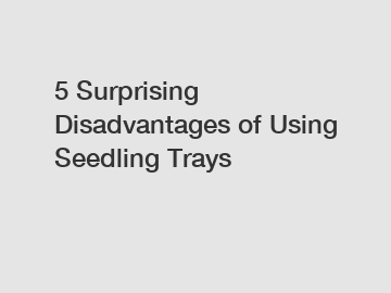 5 Surprising Disadvantages of Using Seedling Trays