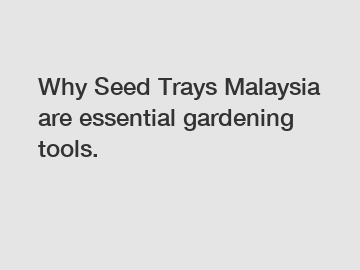 Why Seed Trays Malaysia are essential gardening tools.