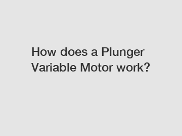 How does a Plunger Variable Motor work?