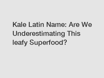 Kale Latin Name: Are We Underestimating This leafy Superfood?