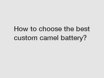 How to choose the best custom camel battery?