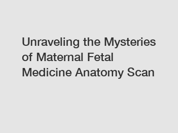Unraveling the Mysteries of Maternal Fetal Medicine Anatomy Scan