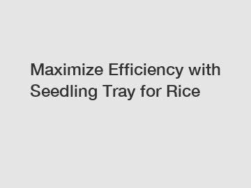 Maximize Efficiency with Seedling Tray for Rice