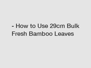 - How to Use 29cm Bulk Fresh Bamboo Leaves