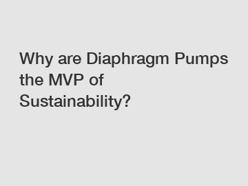 Why are Diaphragm Pumps the MVP of Sustainability?